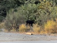 IMG_7591.JPEG