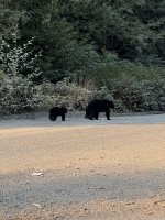 IMG_7593.JPEG