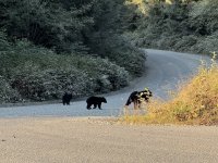 IMG_7596.JPEG
