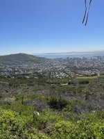 IMG_5343.jpeg