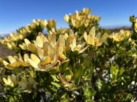 IMG_5393.jpeg