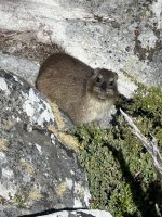 IMG_5408.jpeg