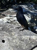 IMG_5410.jpeg