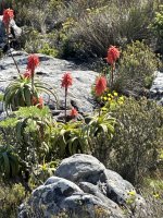 IMG_5413.jpeg