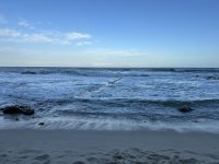 IMG_5486.jpeg