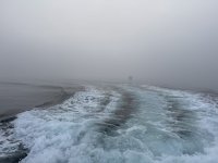 IMG_7603.JPEG
