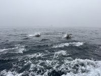 IMG_7608.JPEG