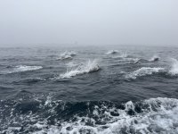 IMG_7610.JPEG