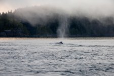 20250829-Grizzlies-GlendaleCove-002a.jpg