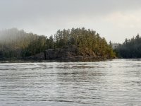 IMG_7631.JPEG