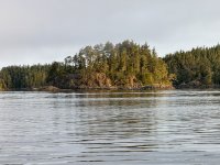 IMG_7632.JPEG