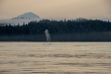 20250829-Grizzlies-GlendaleCove-007a.jpg