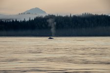 20250829-Grizzlies-GlendaleCove-008a.jpg