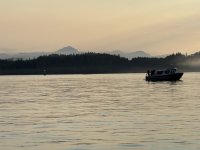 IMG_7640.JPEG