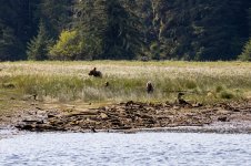 20250829-Grizzlies-GlendaleCove-041a.jpg