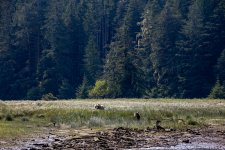 20250829-Grizzlies-GlendaleCove-046a.jpg