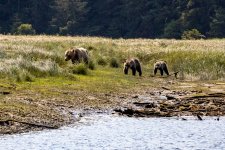 20250829-Grizzlies-GlendaleCove-058a.jpg