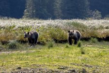 20250829-Grizzlies-GlendaleCove-068a.jpg