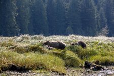 20250829-Grizzlies-GlendaleCove-073a.jpg