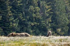 20250829-Grizzlies-GlendaleCove-086a.jpg