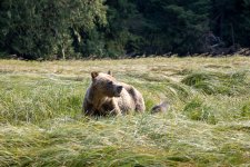 20250829-Grizzlies-GlendaleCove-100a.jpg