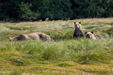 20250829-Grizzlies-GlendaleCove-115a.jpg