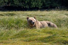 20250829-Grizzlies-GlendaleCove-128a.jpg