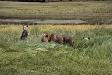 20250829-Grizzlies-GlendaleCove-145a.jpg