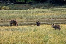 20250829-Grizzlies-GlendaleCove-164a.jpg
