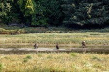 20250829-Grizzlies-GlendaleCove-172a.jpg
