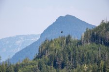20250829-Grizzlies-GlendaleCove-208a.jpg