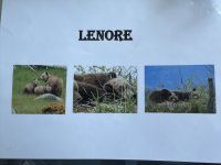 IMG_7728.JPEG