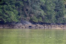 20250829-Grizzlies-GlendaleCove-210a.jpg