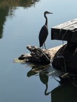 IMG_7734.JPEG