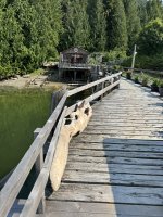 IMG_7737.JPEG