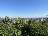IMG_2218.JPG