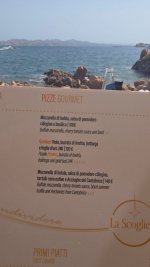 IMG_3509.jpeg