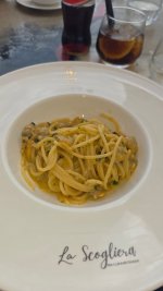 IMG_3506.jpeg