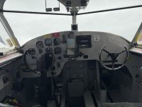 IMG_7784.JPEG