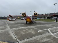 IMG_7793.JPEG