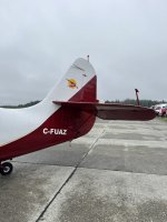 IMG_7796.JPEG