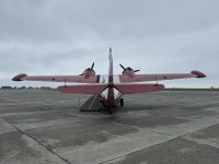 IMG_7799.JPEG
