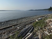 IMG_7829.JPEG