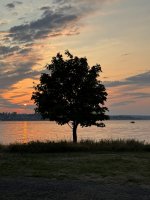 IMG_7844.JPEG