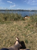 IMG_7861.JPEG