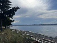 IMG_7869.JPEG