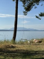 IMG_7888.JPEG