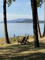 IMG_7889.JPEG