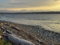IMG_7900.JPEG