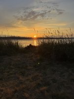 IMG_7905.JPEG